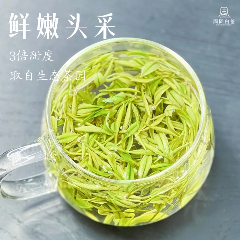 【鲜嫩头采】2024新茶安吉白茶昆铜核心产区正宗浙江安吉送人送礼