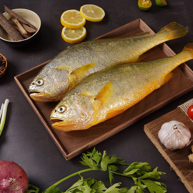 新鲜速冻黄鱼肉质细嫩营养美味拍下发8条顺丰冷链包邮