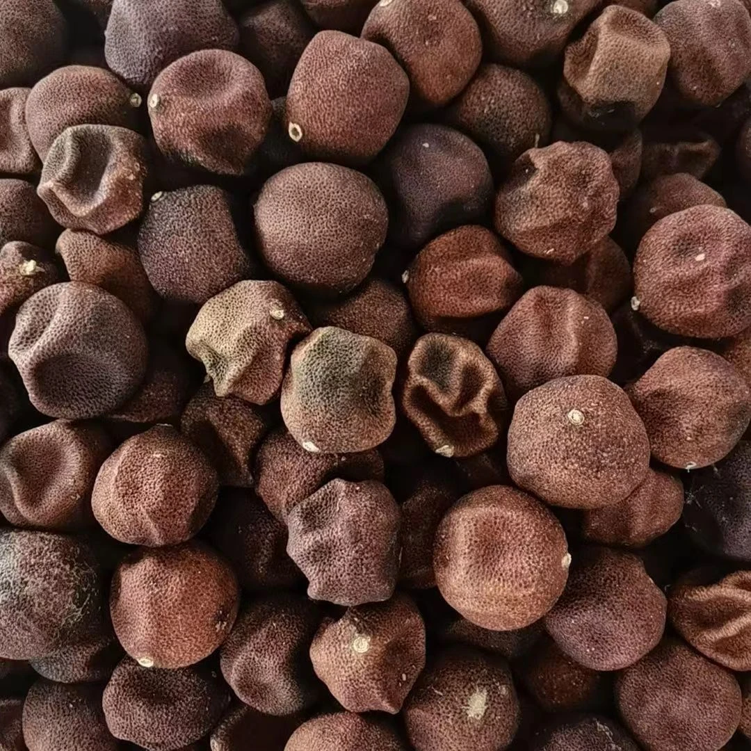 送陈皮果 多拍多送