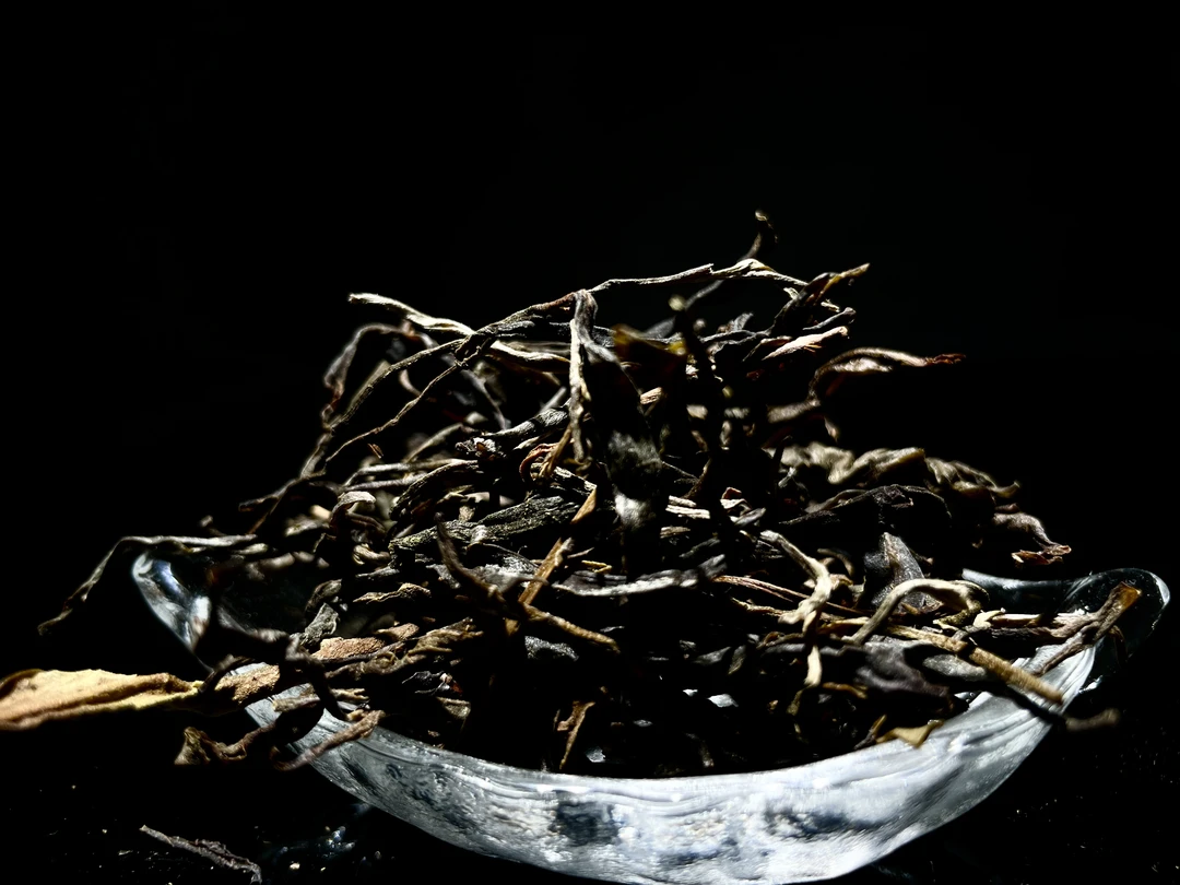 【老挝森林】黄片茶 口粮茶