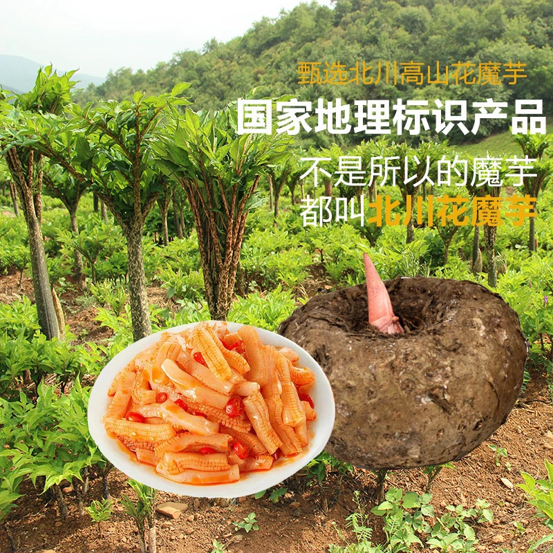 魔烦恼素毛肚麻辣小零食魔芋丝香辣素食辣味劲道美味