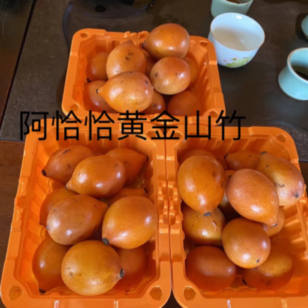 阿恰恰黄金山竹6年老盆树口感清甜可口适合0度左右种植