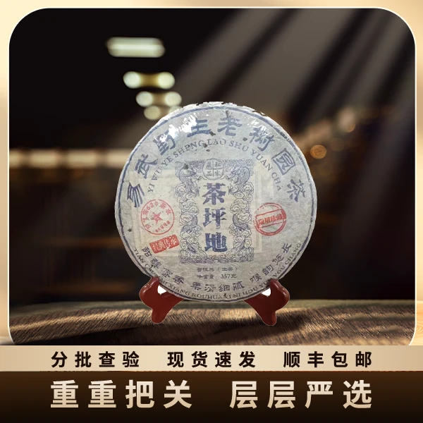 新人福利 2013年/茶坪地易武野生老树圆茶/饼茶/生茶/357g