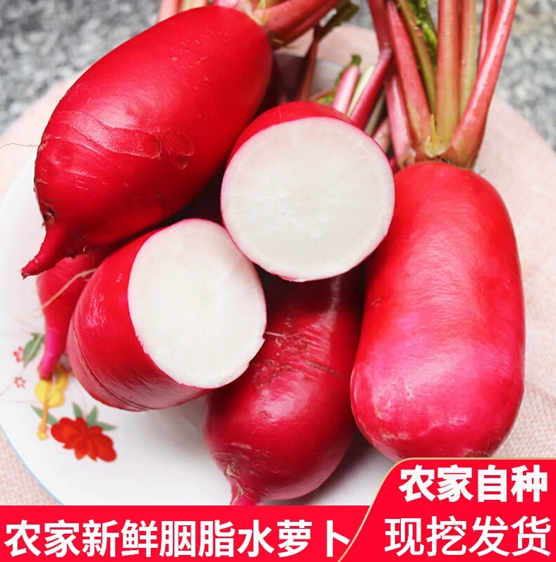 【红皮萝卜】新鲜红皮萝卜蔬菜现拔水果大萝卜胭脂萝卜可做泡菜