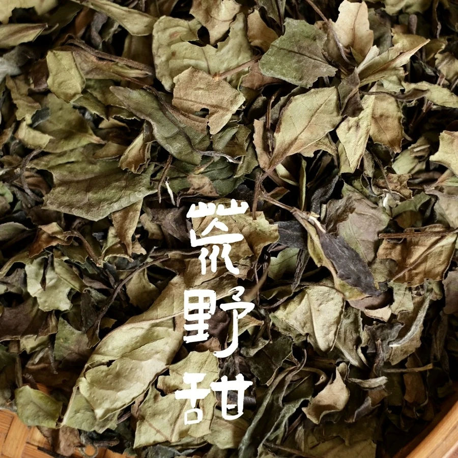 【荒野甜|2018荒野老树白茶】可可香松蜜甜 年份窖藏香 超适焖煮泡