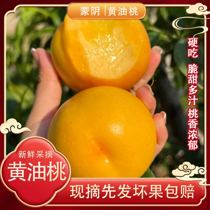 山东蒙阴黄金黄油桃现摘现发纯甜正宗新鲜水果应季时令黄心桃子
