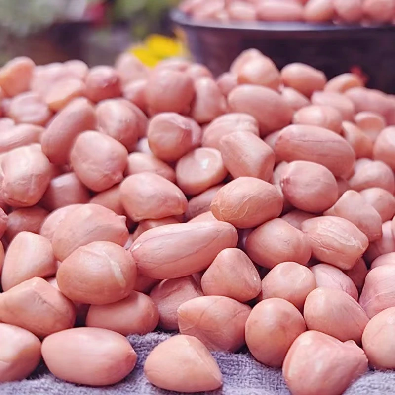2024年新大白沙花生米精选新货花生米农家自种