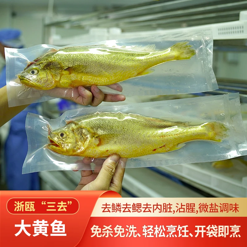 温州深海大黄鱼6-8两新鲜冷冻黄花鱼三去处理(保留鱼胶)