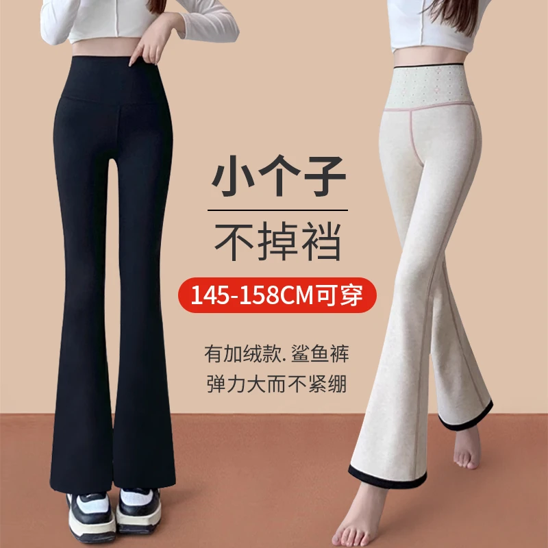 黑色微喇鲨鱼裤女加绒秋冬小个子八分高弹力高腰马蹄裤保暖不臃肿