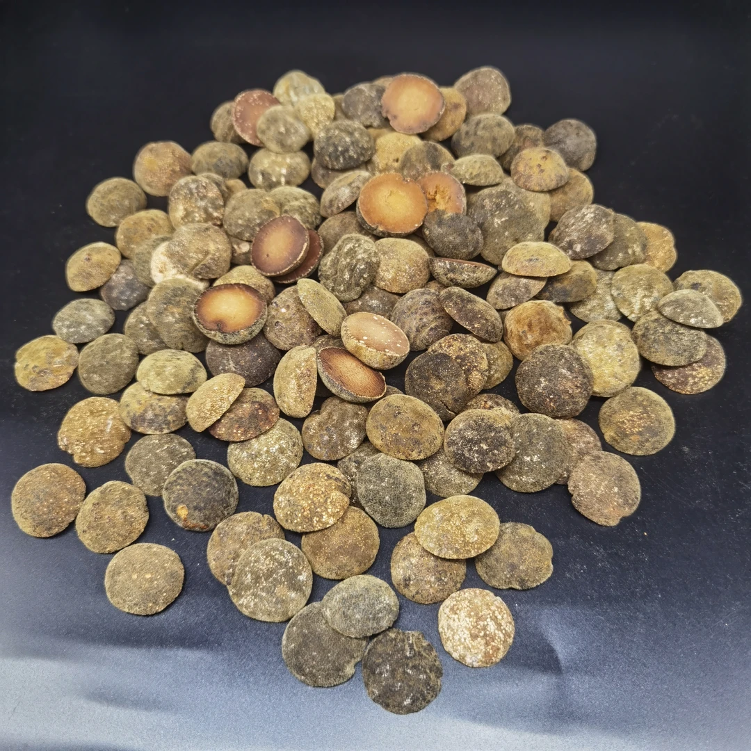 化橘红陈化州橘红果半圆胎果皮