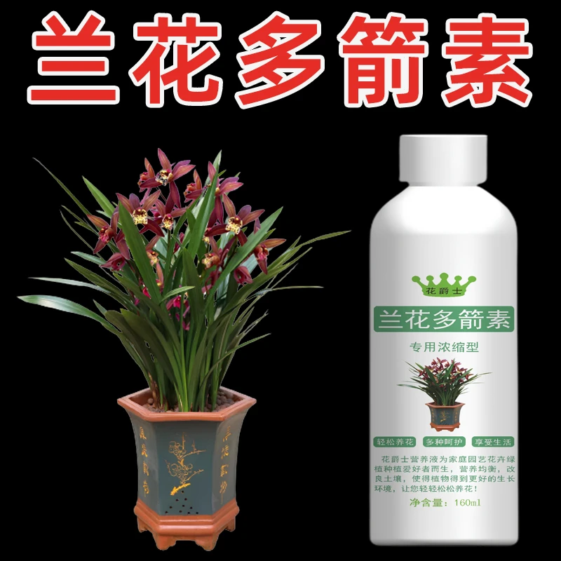 兰花多箭素多剑素墨兰营养液催花促开花肥蝴蝶兰肥料专用肥爆芽素