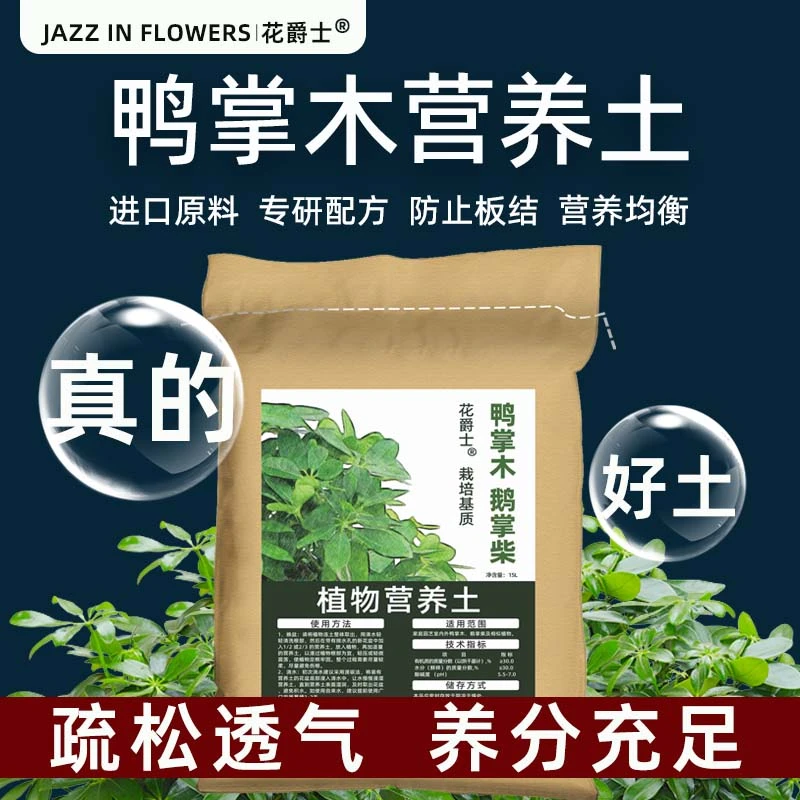 鸭掌木专用营养土疏松透气专用土壤酸性种鹅掌柴的土配方土有机