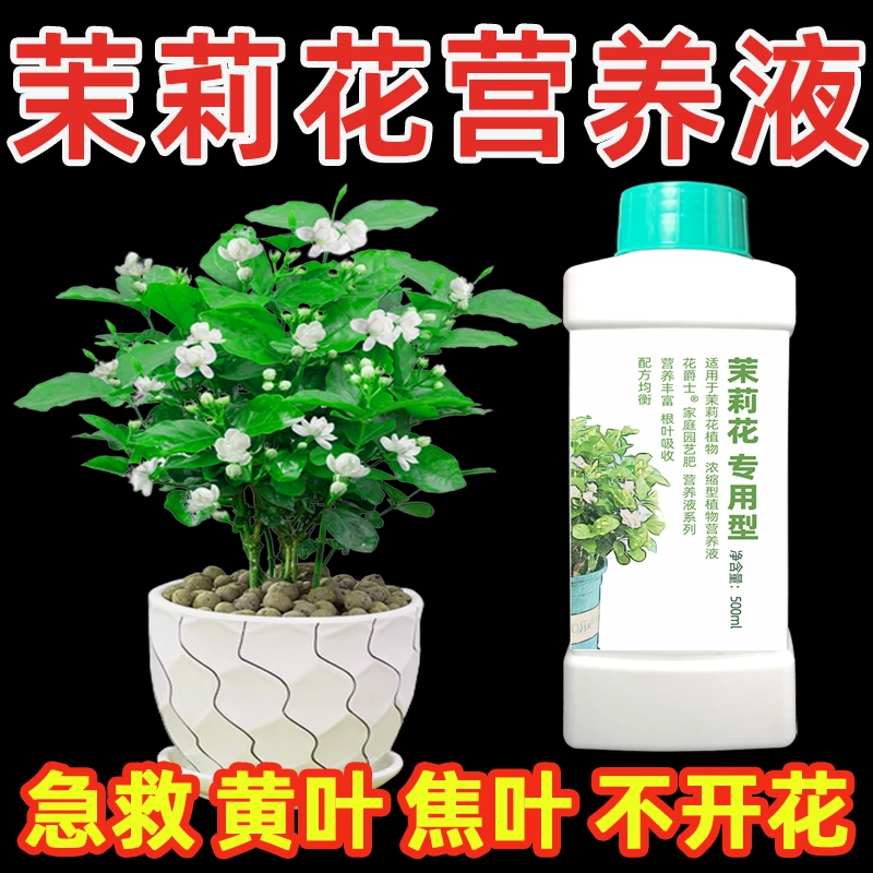 茉莉花专用营养液植物通用型水培盆栽黄叶子不开花酸性肥料专用肥