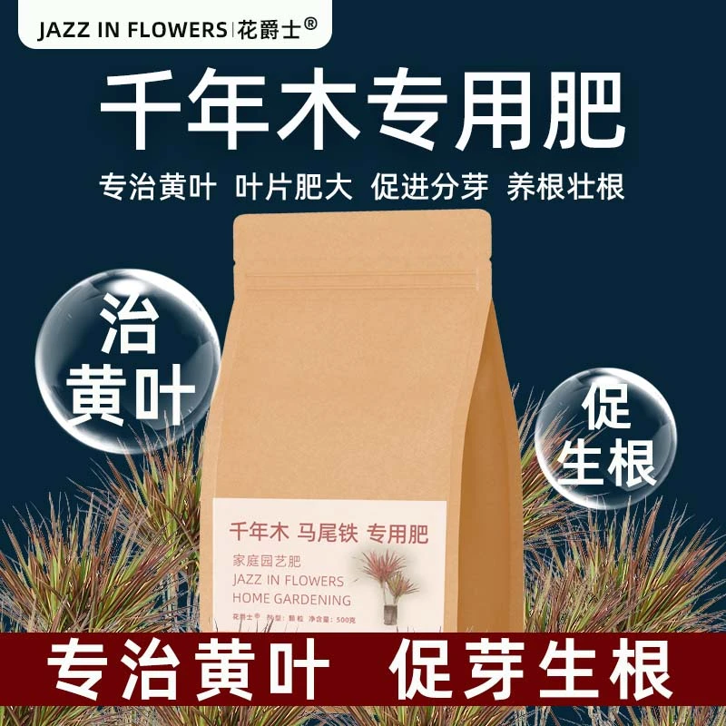 花爵士千年木肥料专用肥营养液室内专用水培马尾铁红边龙血树黄叶