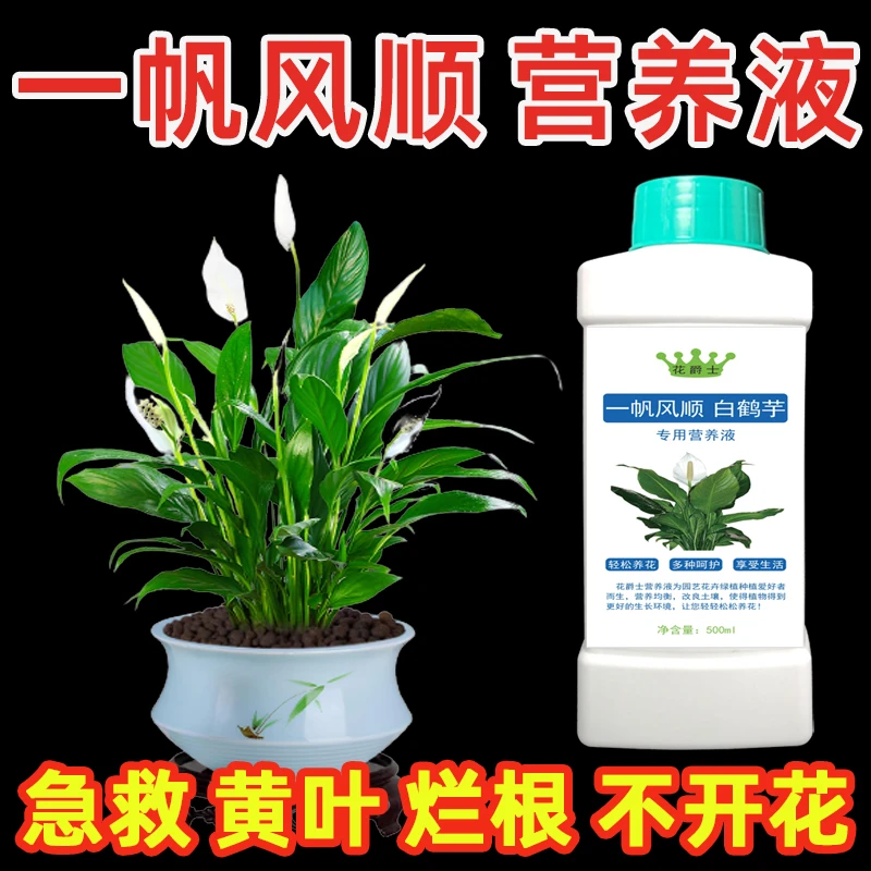 一帆风顺专用营养液水培白掌肥料白鹤芋叶子发黄烂根开花专用肥料