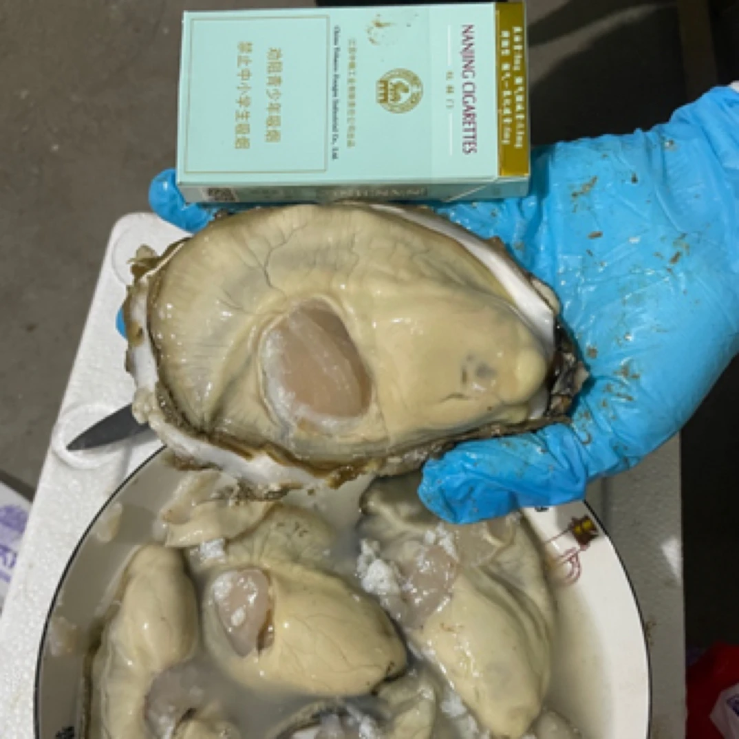 正宗肥蚝生蚝鲜活牡蛎原产地直供蒸煮烤海蛎子海鲜