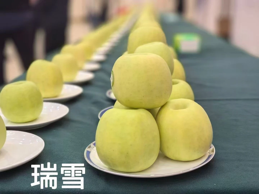 白水纯甜无酸瑞雪苹果