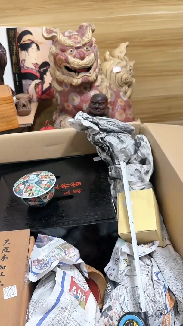 【闪购商品】日本舶来品0028