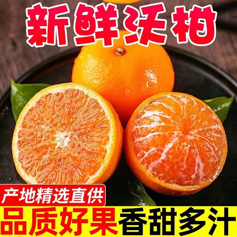 【精品沃柑】正宗广西武鸣沃柑当季新鲜采摘香甜多汁源头整箱发货