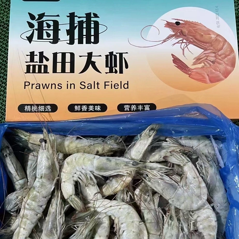 精选优质活冻盐田大虾北极甜虾甜虾海鲜团购海虾海鲜水产青岛