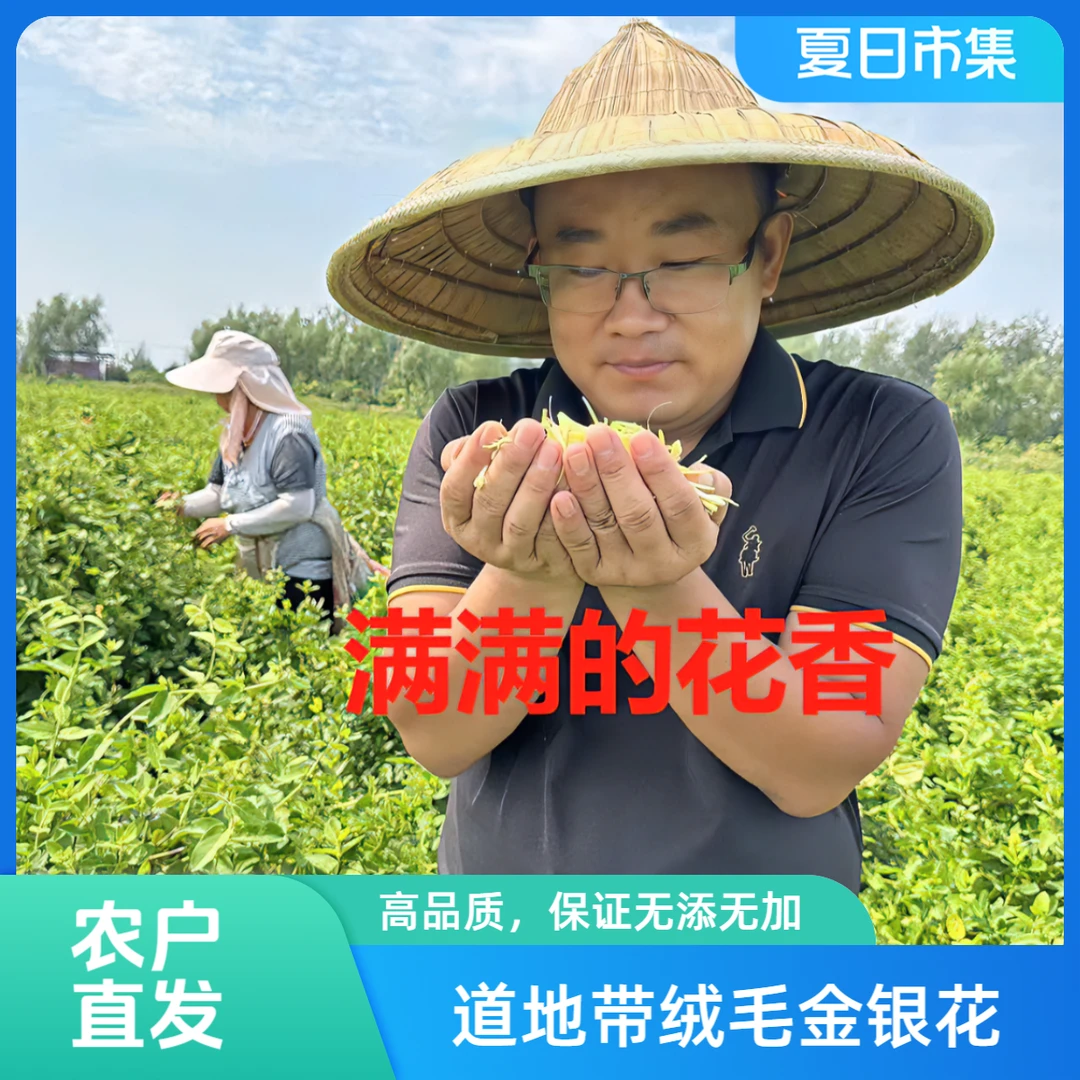 山东道地精选带绒毛高品精选金银花高品质茶无添无加四季常备