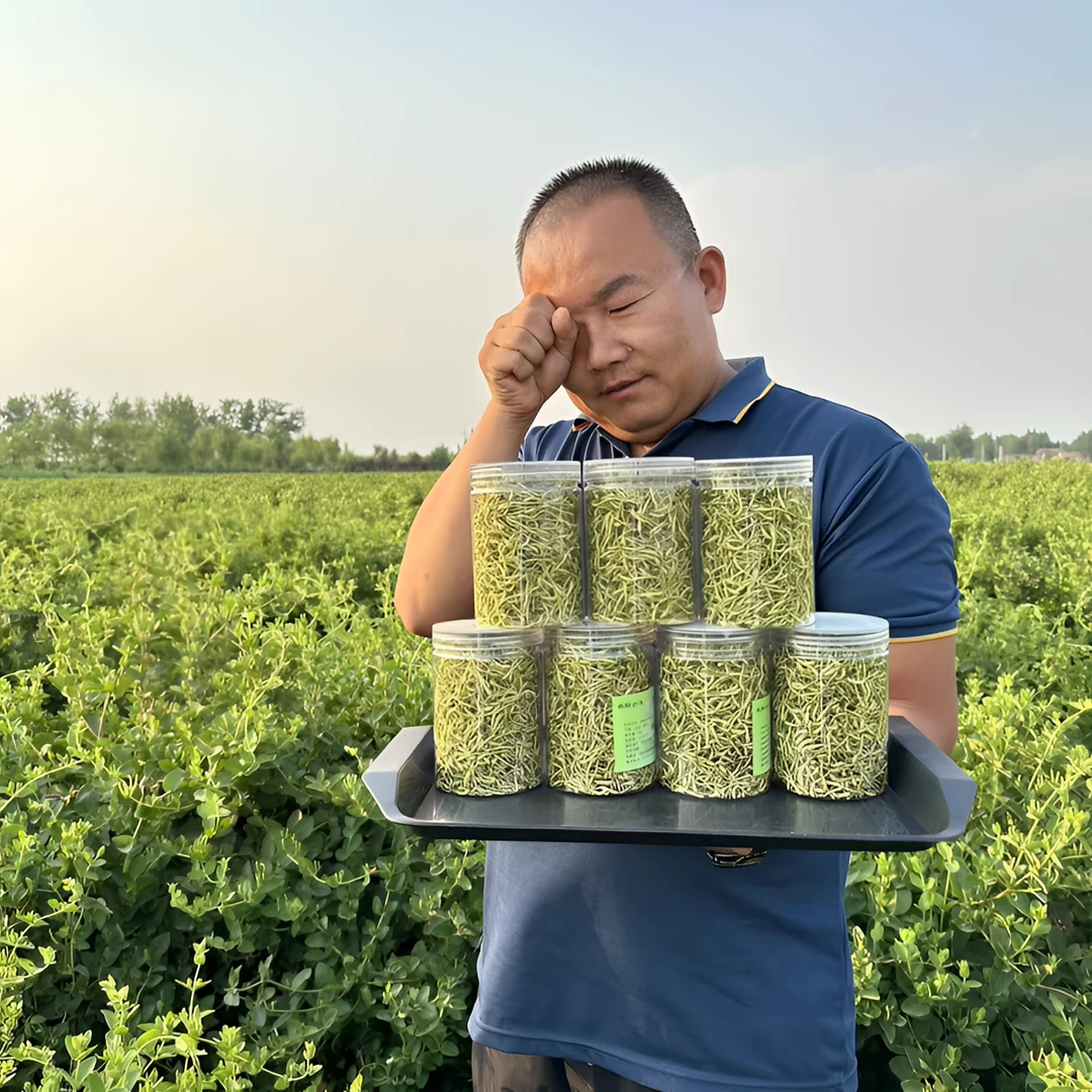 山东道地上等四季金银花全国包邮