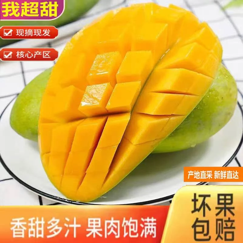 【鲜挑鲜选】广西青皮金煌芒整箱3斤中大果 应季水果（1斤）