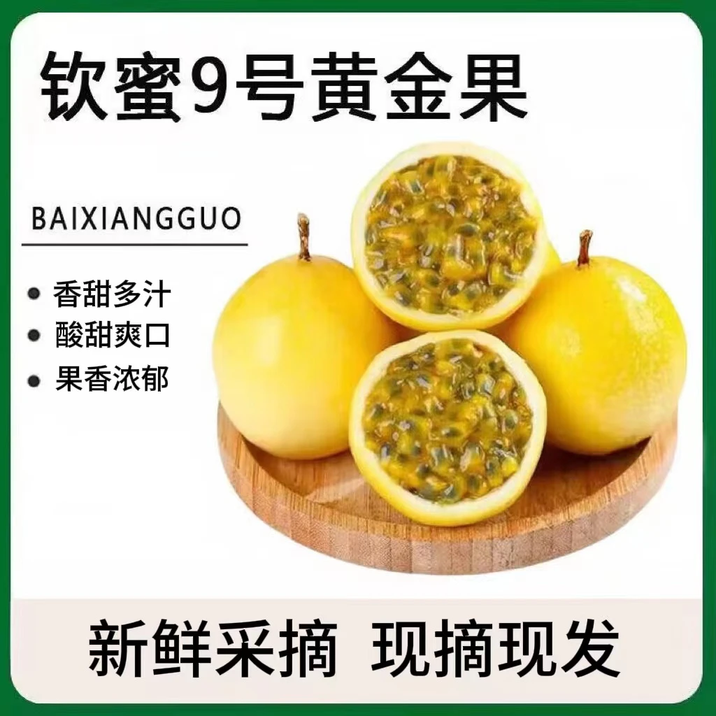 【鲜挑鲜选】钦蜜黄金百香果10/12个试吃装 单果40-60g （8个）