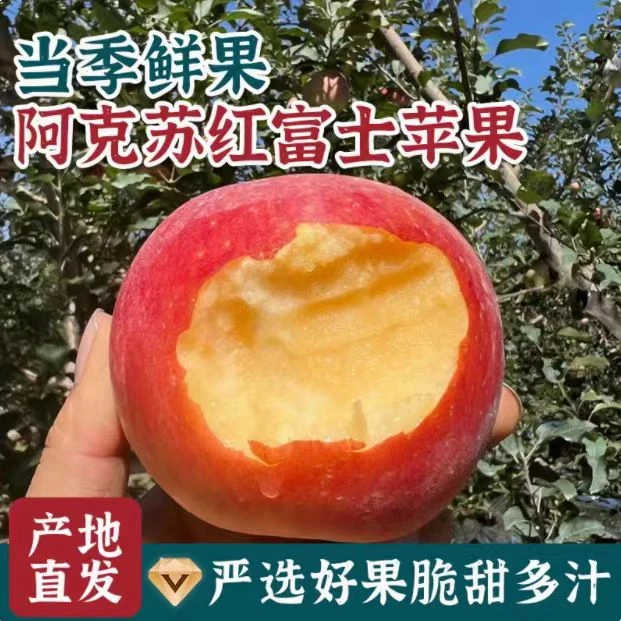 【辛平优选】正宗新疆阿克苏冰糖心红富士苹果新鲜脆甜水果新疆直发