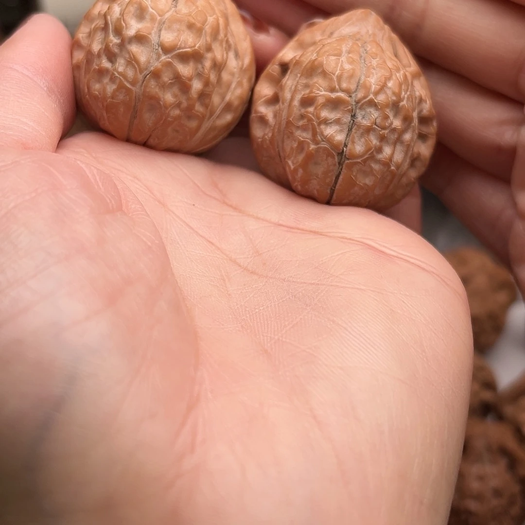 桃核把件龟甲纹34全品