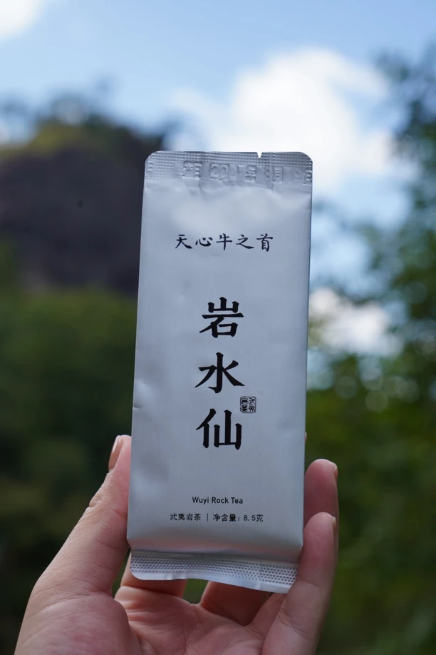 天心牛之首 | 岩水仙 | 8.5✖️6泡