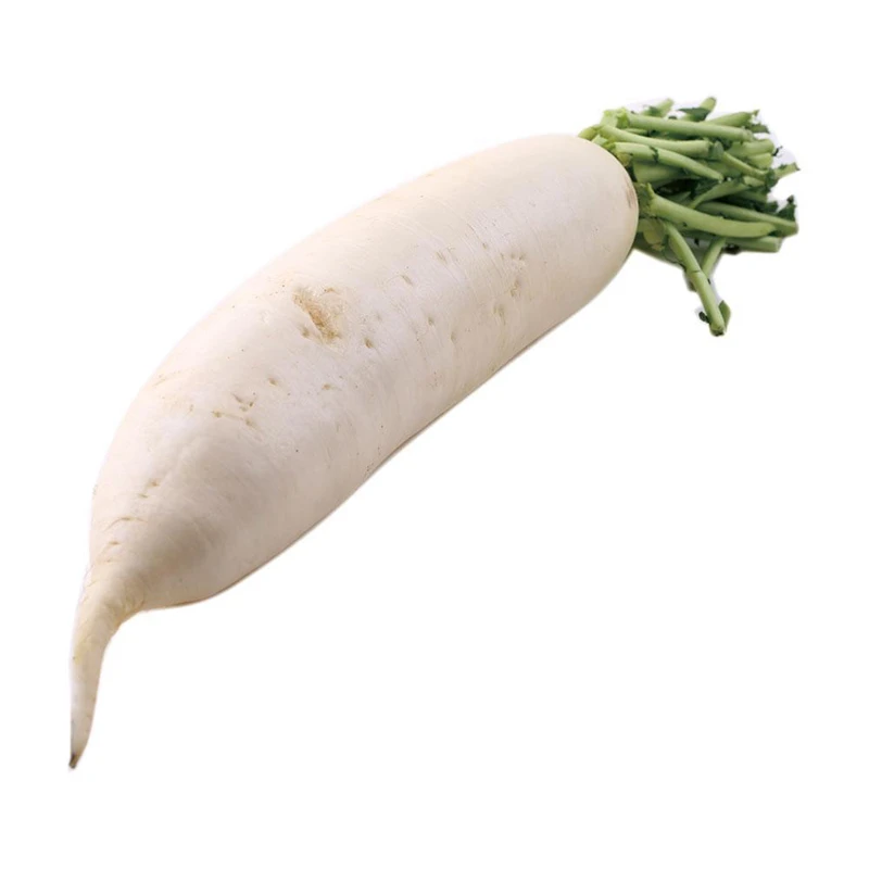 【蔬菜】白萝卜 约1000g