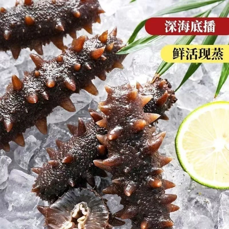 【鲜食海参】大连底播野生深海辽刺参滋补送人送礼2斤送1斤开袋即食