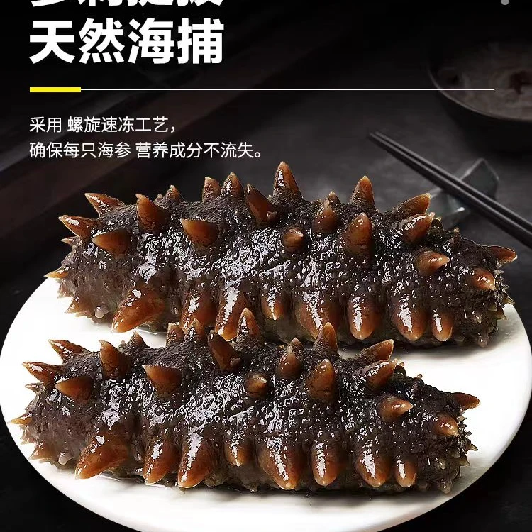 胶州湾头茬春参，即食鲜食海参 30只（每只5-8厘米），顺丰包邮