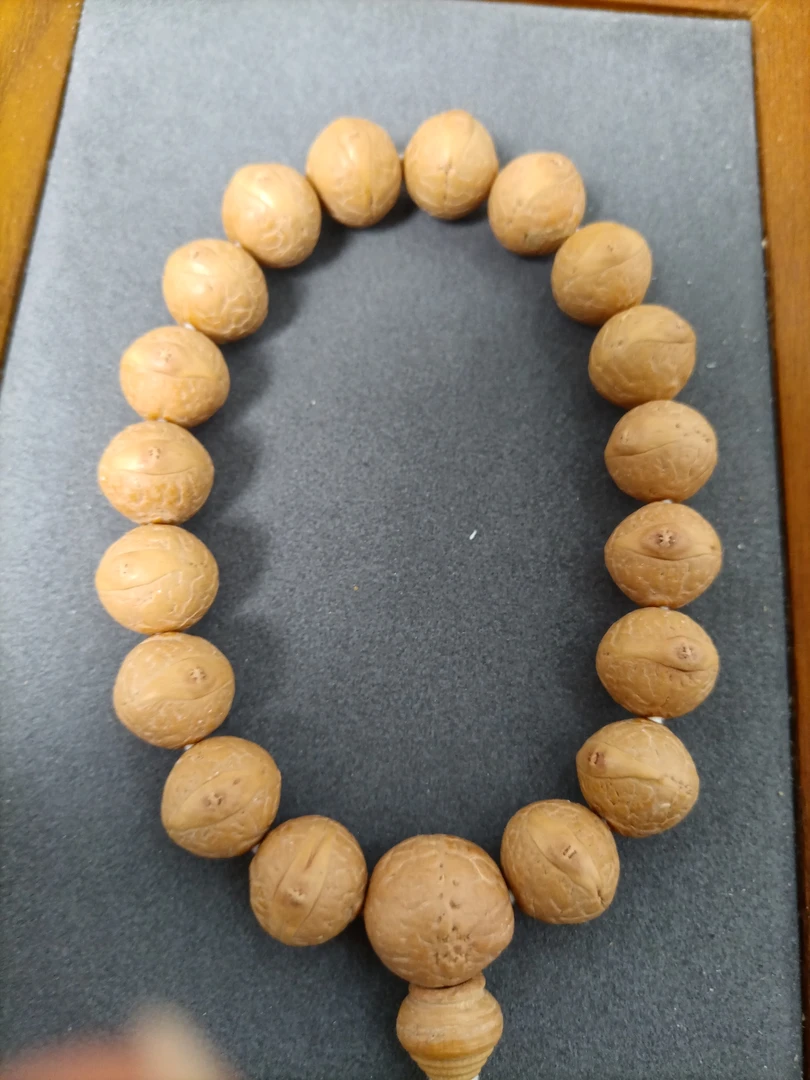 尼泊尔凤眼菩提大萌眼