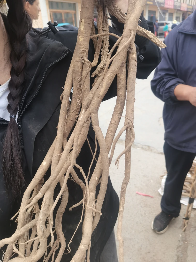 佰珍沐源精选【山货】黄芪