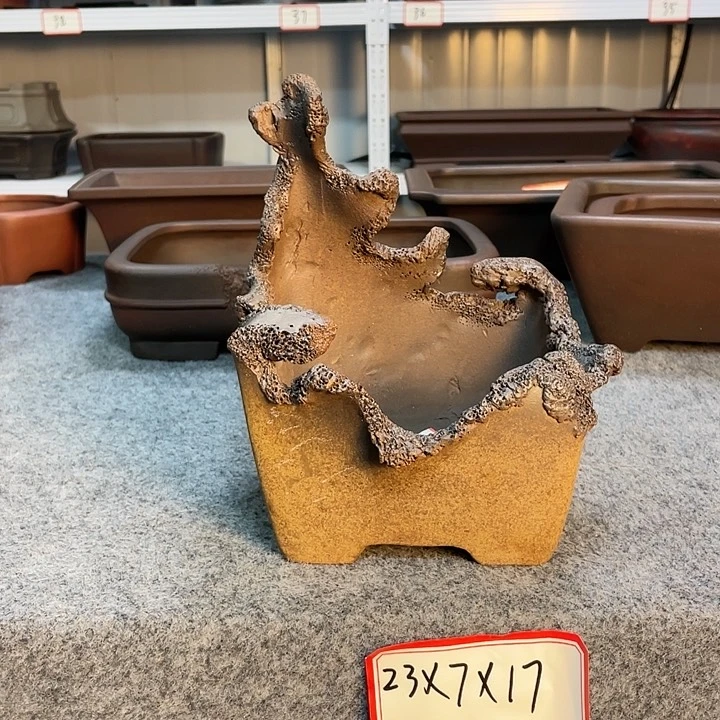 紫砂20CM以下随*.6657656557