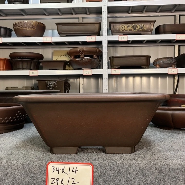 紫砂20CM以下绿**间5665655556455