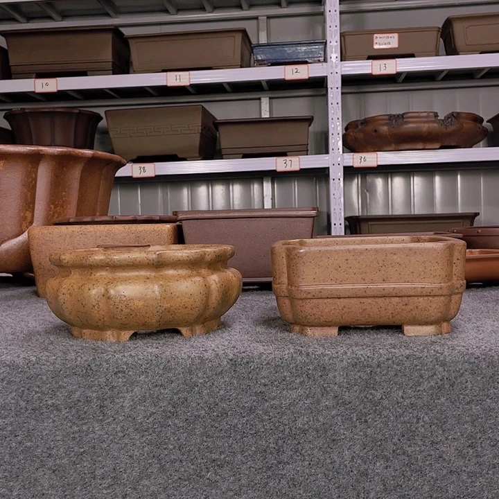 紫砂20CM以下小*7788677677656