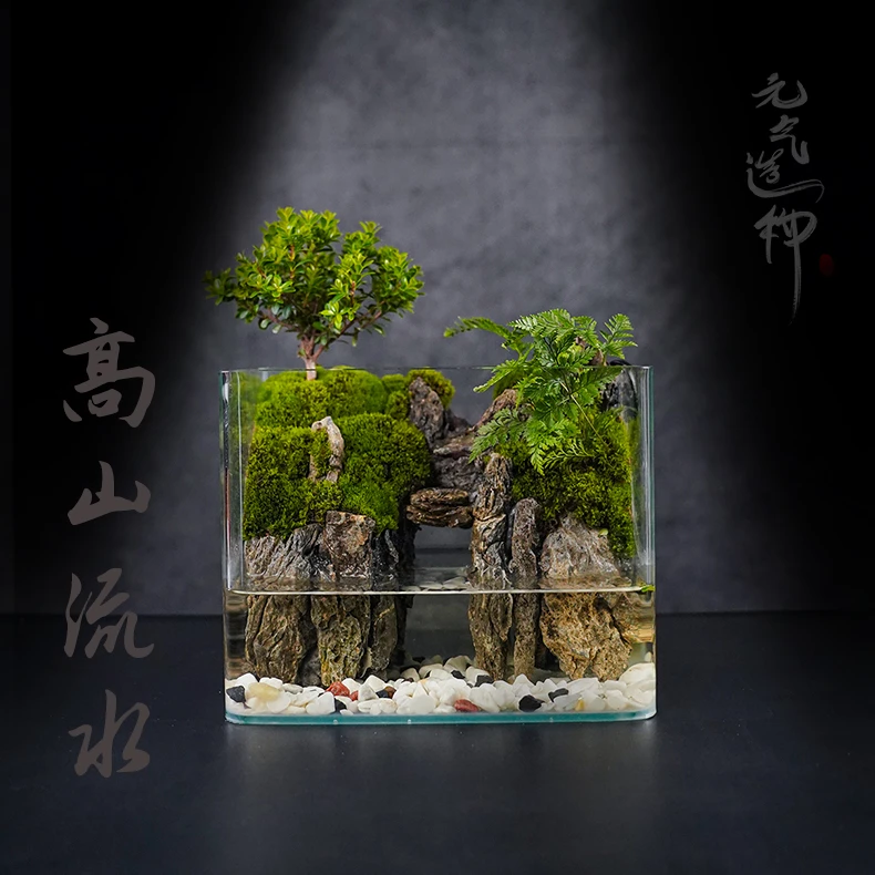 【叠水】高山流水—内循环流水小叶赤楠创意景观成品 尺寸25*16*18