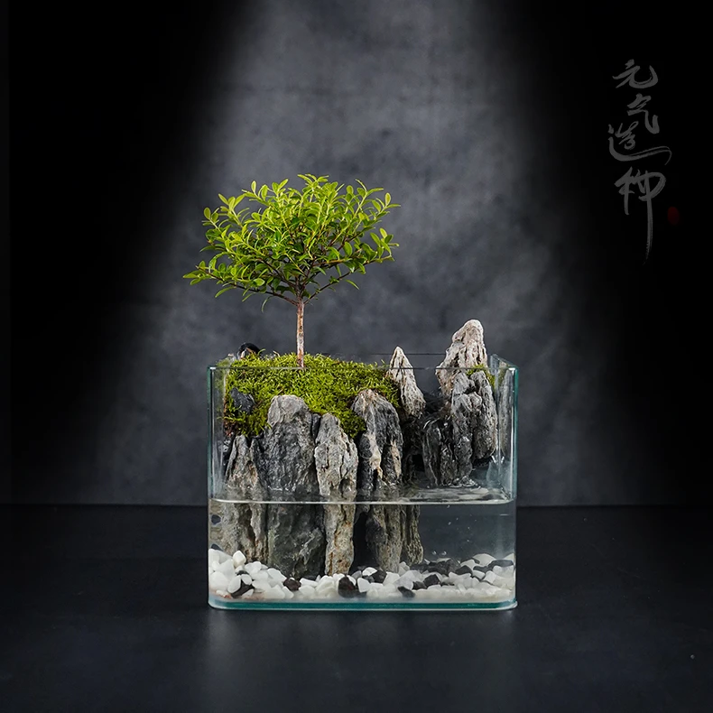 【叁七专属】小重山—小叶赤楠循环流水真绿植创意成品造景—18*12*14