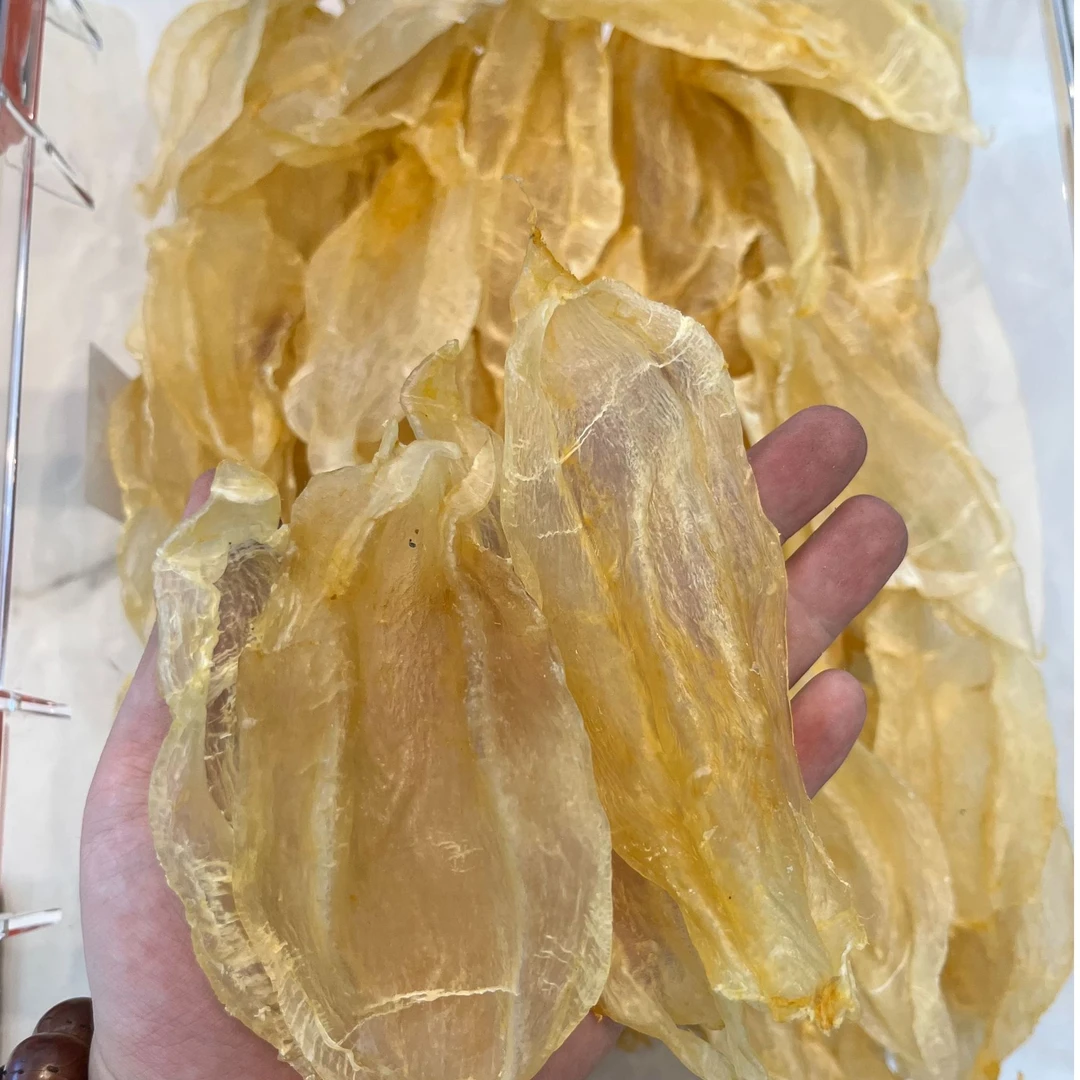 北海苏母胶口感不腥 胶质丰富 煲粥煲汤炖牛奶食用