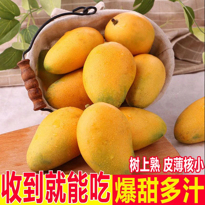 广西百色芒果10斤一箱小台芒整箱批发台农芒果水果产地直发5/2斤