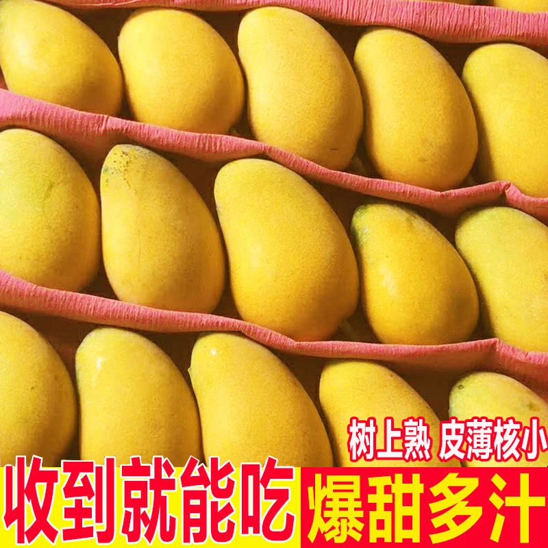 广西百色芒果10斤一箱小台芒整箱批发台农芒果水果产地直发5/2斤