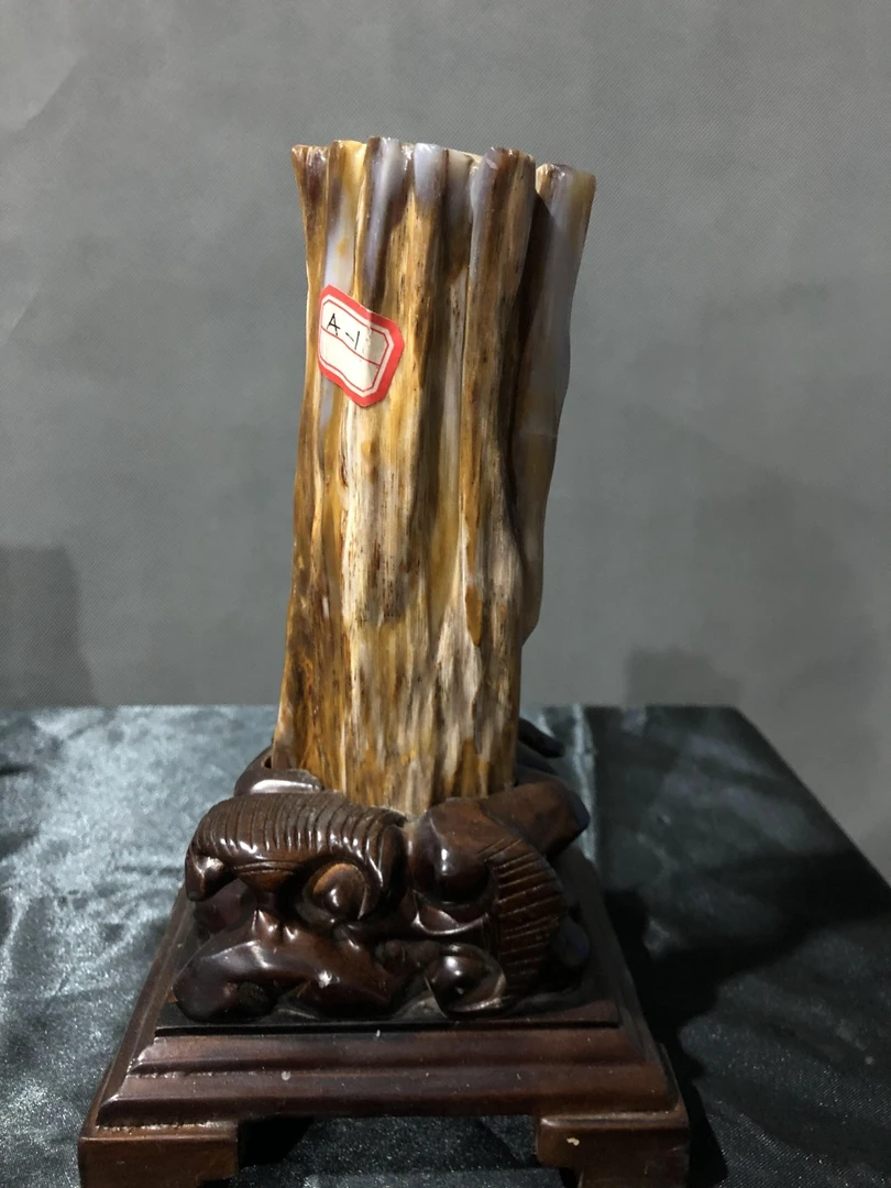 随喜珠宝商行优选树化玉自然观赏奇石景观独特家居摆件奇石23-6