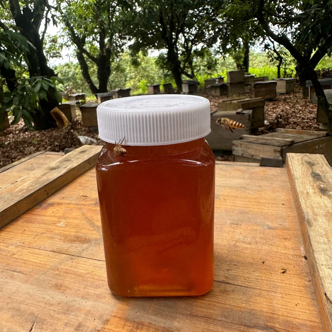龙眼蜜拍二发三正宗蜂蜜中蜂原蜜蜂农自产自销蜂蜜