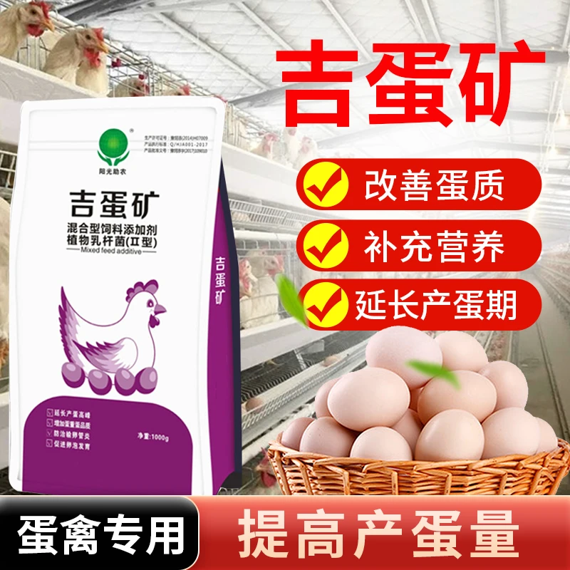 普旺生物吉蛋矿补充营养增加家禽产蛋并延长产蛋高峰期饲料添加剂