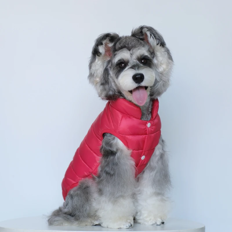 宠惑加厚羽服棉衣泰迪小狗狗宠物衣服小型犬约克夏猫咪秋冬装冬季