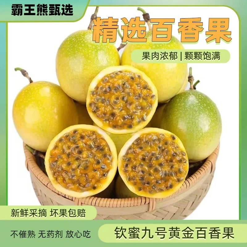 【放皱更甜】13个钦蜜九号 黄金百香果 新鲜现摘单果50-60g果肉香甜