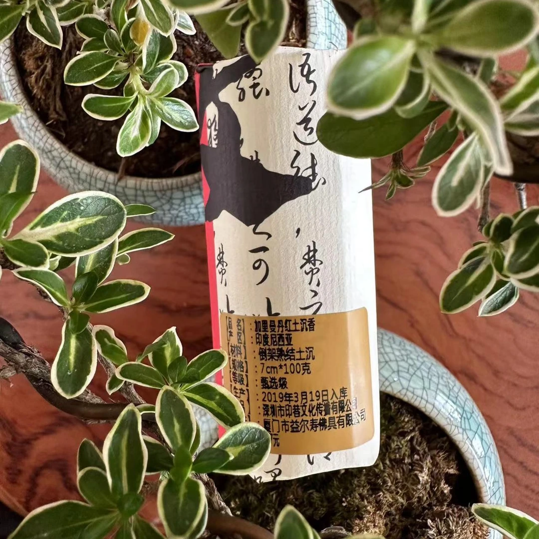 加里曼丹熟结红土-沉香无粘线香7cm*100克